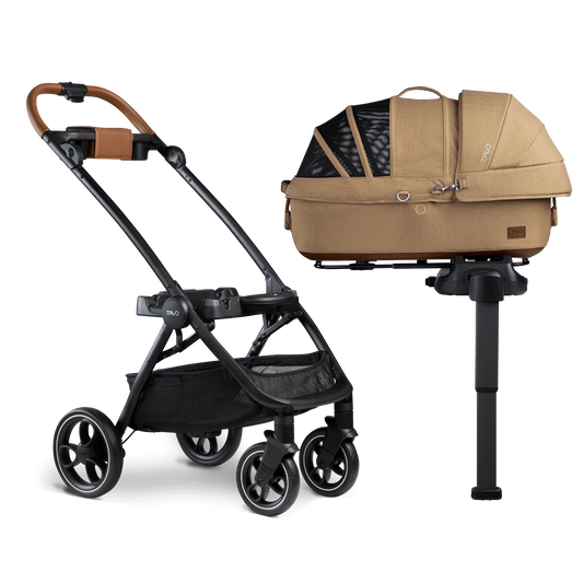 Maeve™ + Roscoe™ (MF)